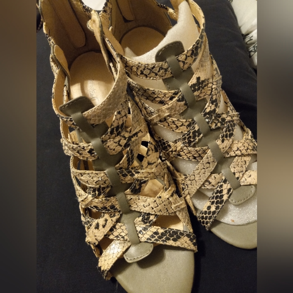 Party Dress shoes